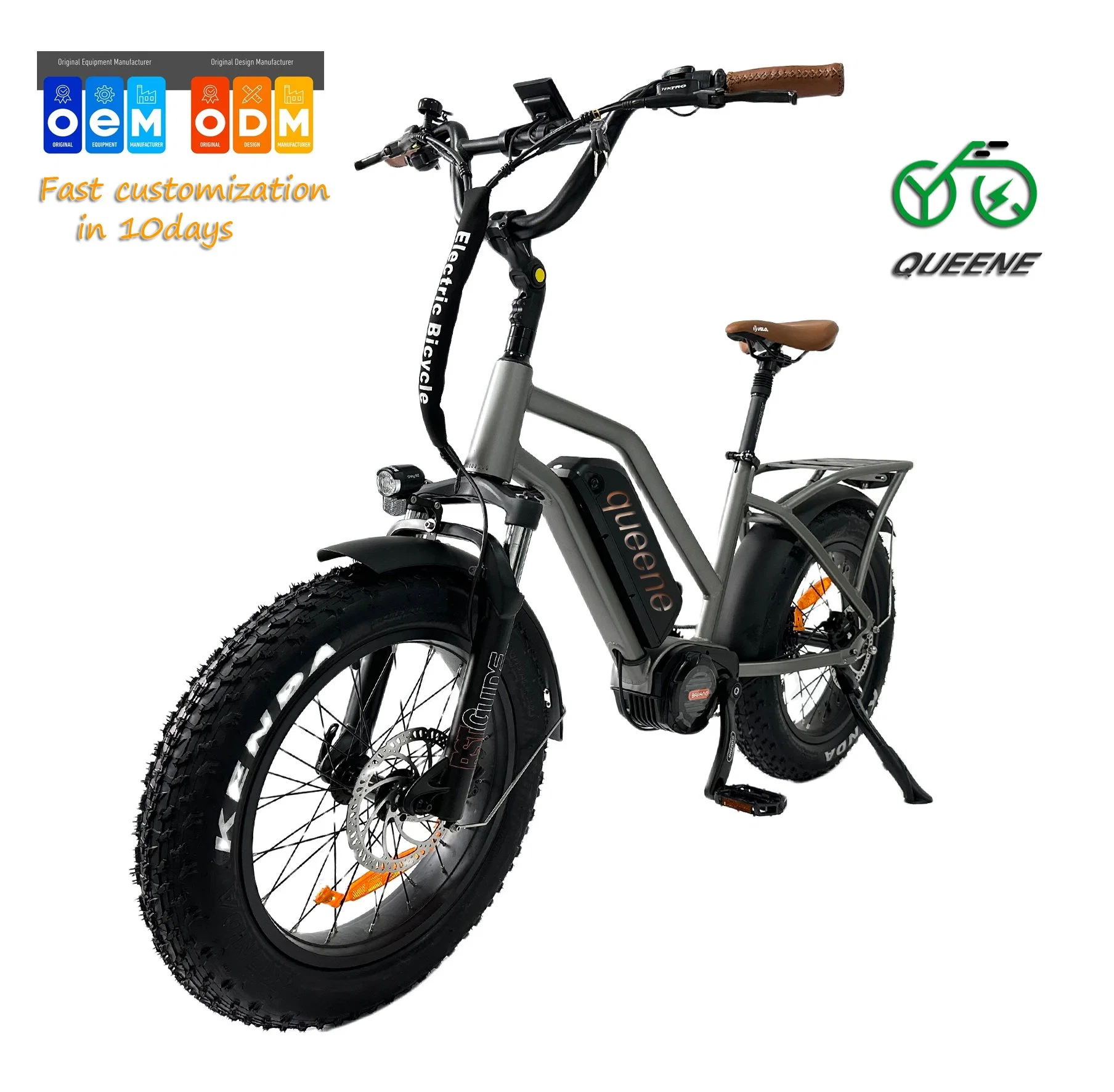 Queene/2023 New High Speed Ebike Fat Tire Electric Bicycle 750W 48V E-Bike 20 Inch E Mountain Bike Electric Dirt Bike