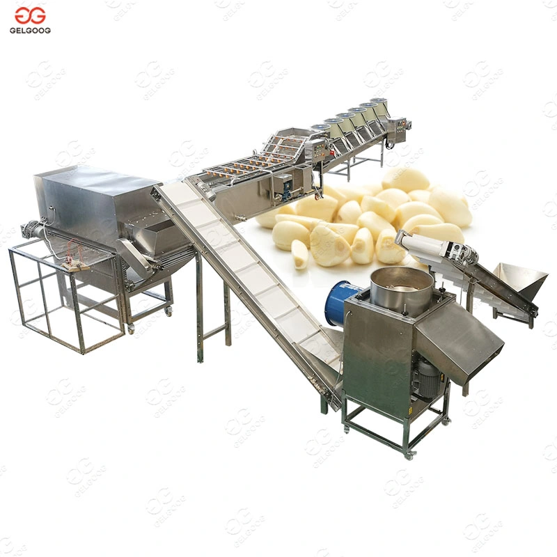 Garlic Processing Machine Plant, Peeling, Washing, Packing