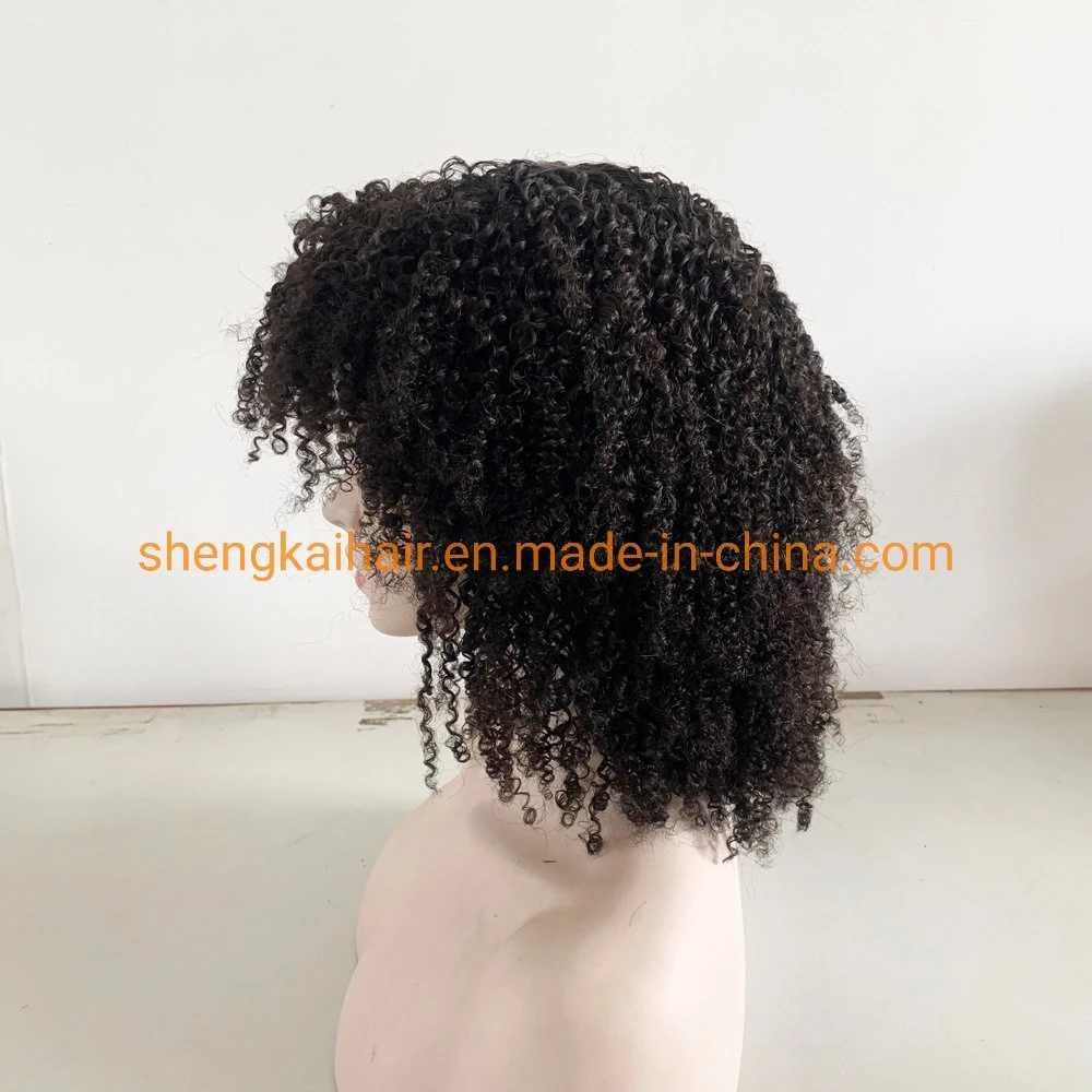 Wholesale/Supplier Lace Front Afro Wave Natural Human Hair Women Wigs