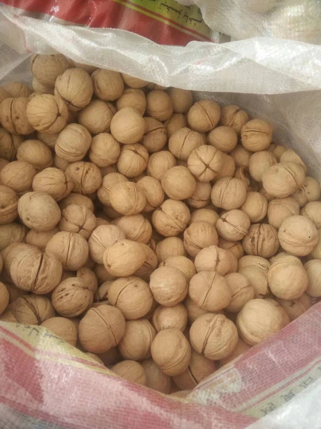 Chinese Dried Fruit Price Paper Shell Walnut in The Shell for Buyers and Importers