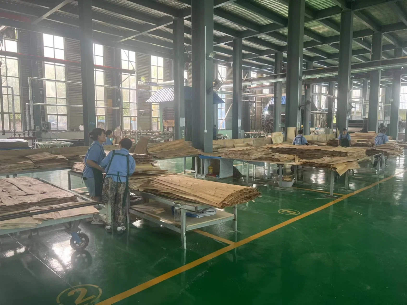 High Density Birch Wood for Transformer