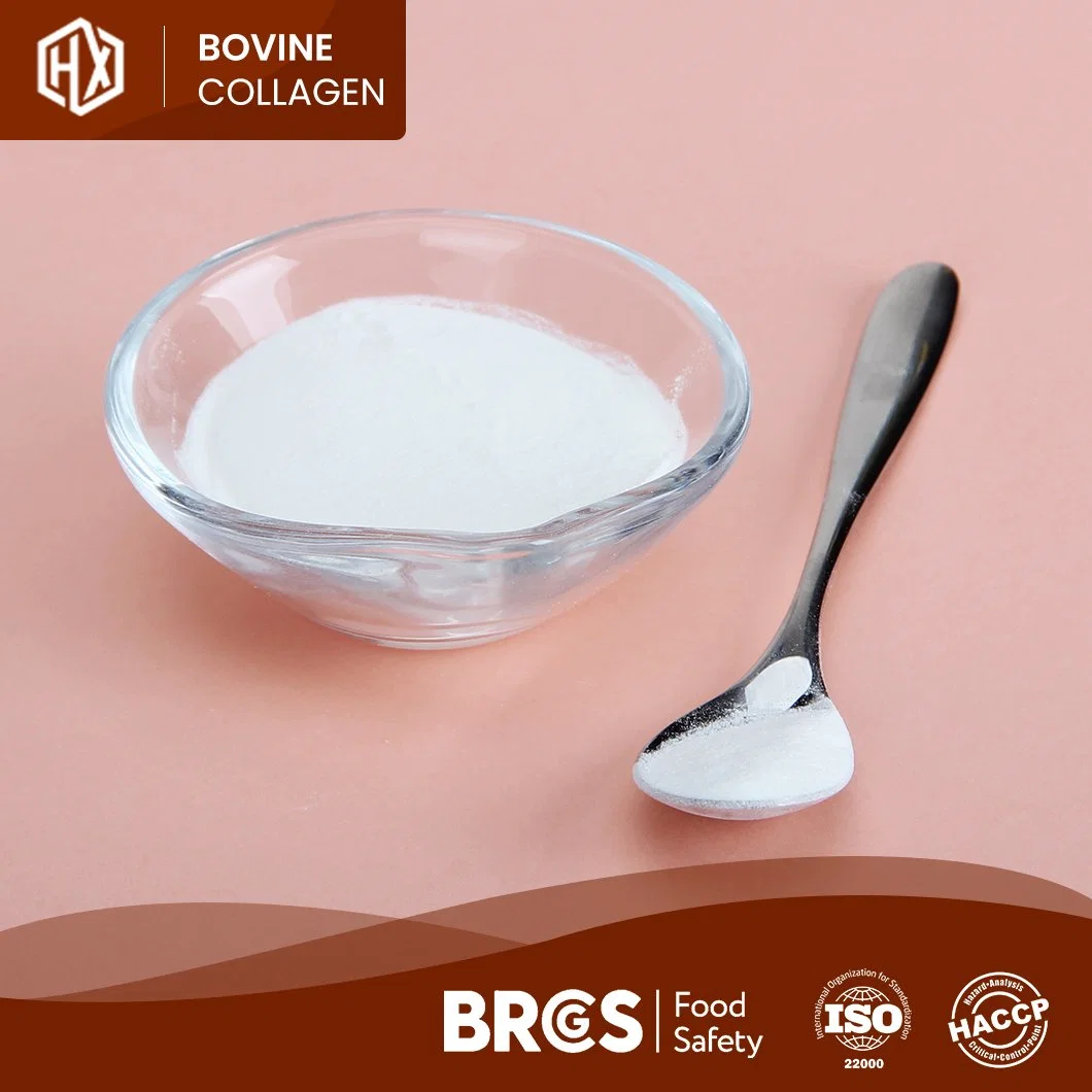 Haoxiang Wholesale/Supplier Trade Bovine Hides Collagen Ingredients High-Quality Bovine Hide Collagen Peptides China Supplier Free Sample Flavoured Collagen Powder