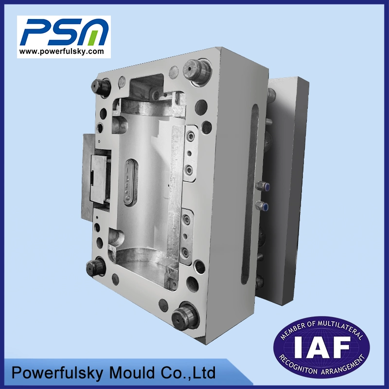 Plastic Die Casting Injection Moulding Is a Type of Original Factory Price Multi-Cavity Stainess Steel Plastic Injection Mould Molded Plastic Products