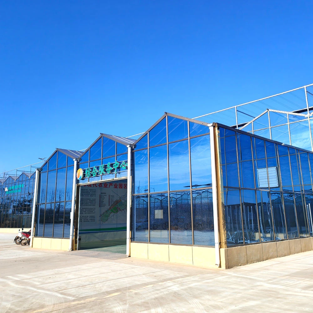 Customized Arch Venlo Plastic Po Film Agricultural Green House with Cooling/Heating Fan Broiler Tomato/Cucumber/Lettuce/Pepper Plant