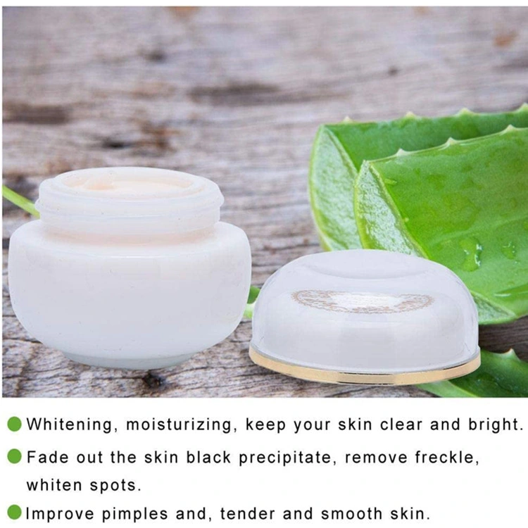 Wholesale/Supplier Freckle Whitening Anti-Wrinkle Moisturizing Skin Care Cream