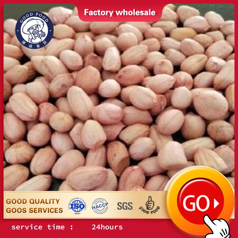 Factory Outlet Store 2020 Crop Peanut Kernels/Peanut Kernels with Red Skin/ Raw Peanuts Kernel