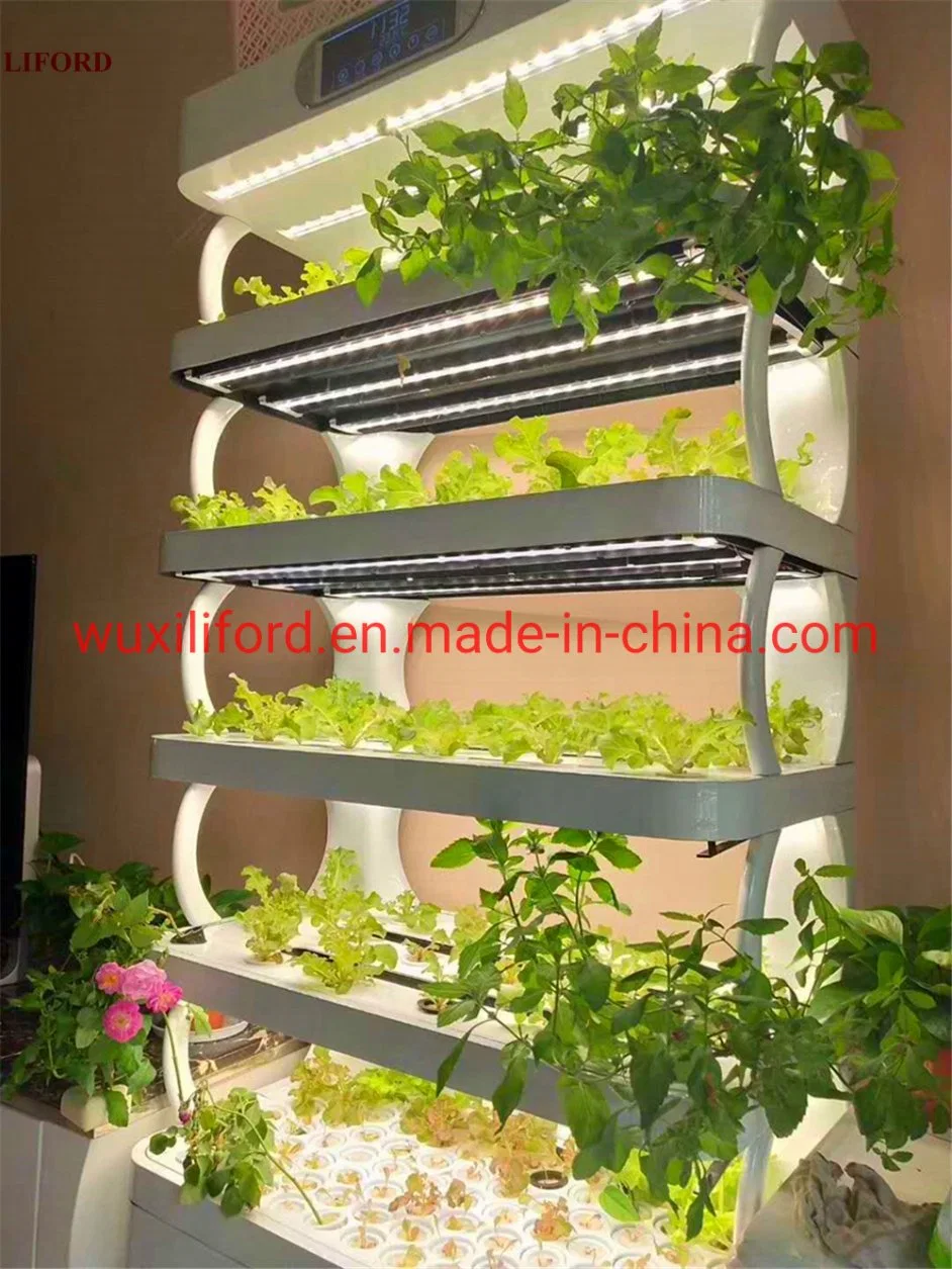 Automatic Intelligent Indoor Home Restaurant Hydroponics Growing System with LED