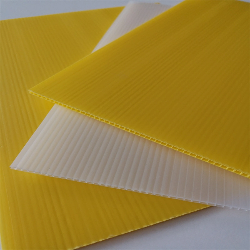 Customized Size Various Color PP Hollow Sheet