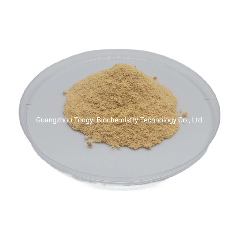 Damiana Leaf Extract Damiana Herb Extract CAS 84696-52-6 Damiana Extract