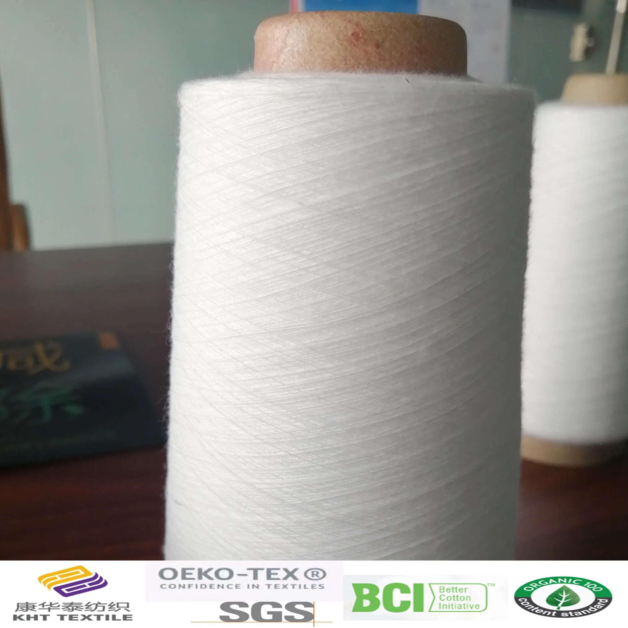 Polyester Ring Spun Yarn Ne30s/1