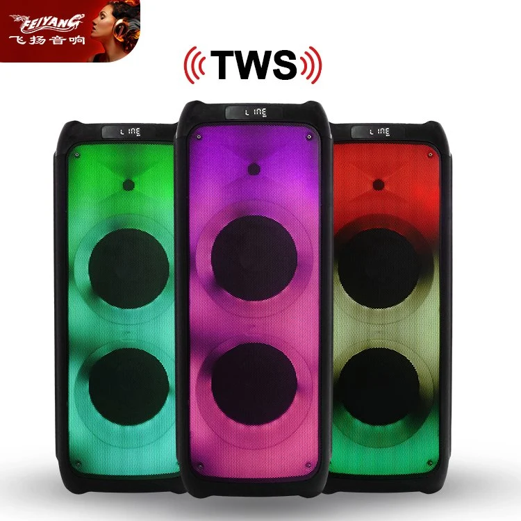 Professional Tws Double 10inch Big Power Recharged Bluetooth Loudspeaker