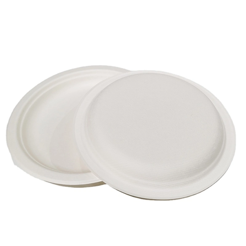 Biodegradable Sugarcane Bagasse Plates, Rectangle, Go-Green Eco-Friendly 100% Compostabledisposable Pulp Dish