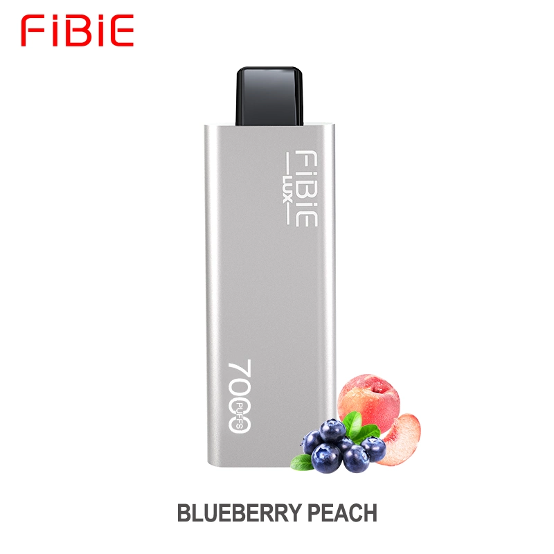 Wholesale/Supplier Curve Slick Fibie Lux E Cig 7000 Puff Vaper Mini Electronic Cigarette Rechargeable Germany Best Price Wape Eshisha Randm Disposable/Chargeable Vapes E Cig