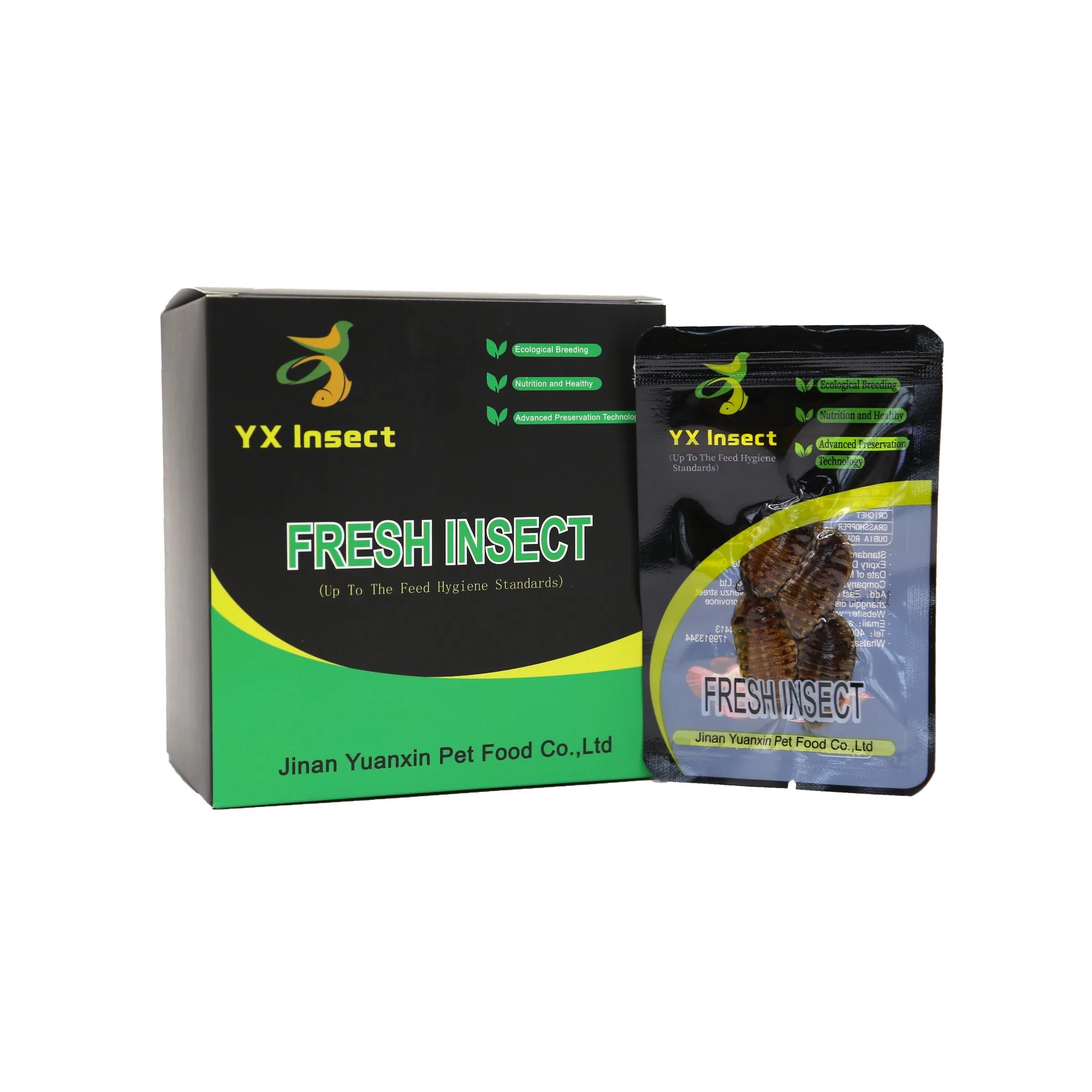 New Kind Fish Feed Made of Eco Fresh Dubia Roach