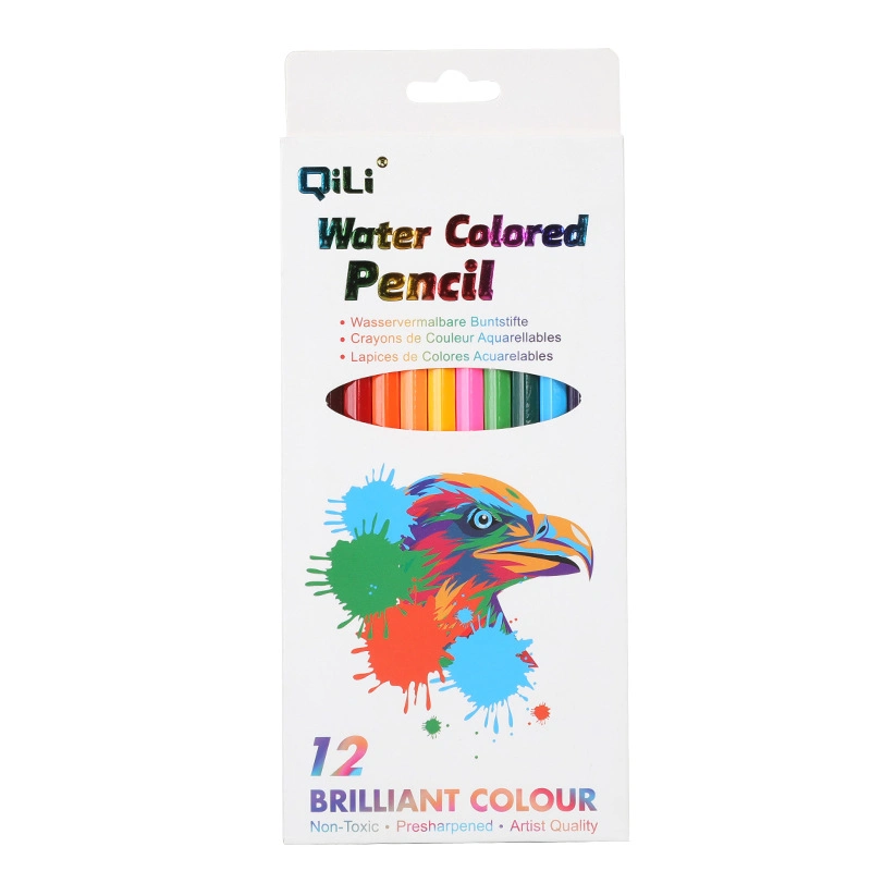 Crayons de couleur professionnels à base d'eau 12 couleurs, cœur doux de qualité artiste avec couleurs vives, parfaits pour dessiner des ombres d'esquisses