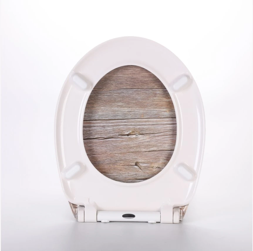 a High-End Hot Toilet Seat Designed for Europeans