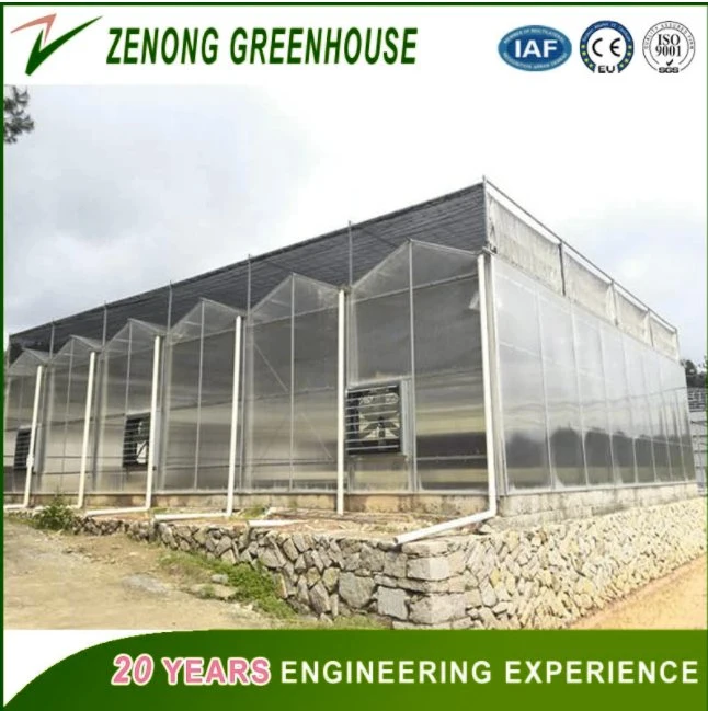 PC Board Greenhouse Equipped with Complete System for Commercial Hydroponic Growing Vegetables,