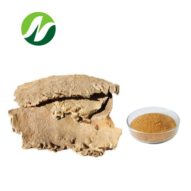 Good Quality Polysaccharides10%-50% Irpex Lacteus Extract