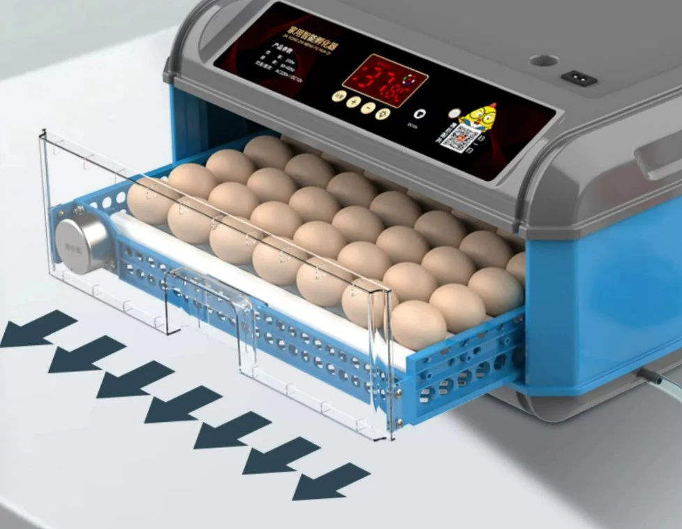 Farm Machines Chicken Duck Goose Fully Automatic Mini Egg Incubator