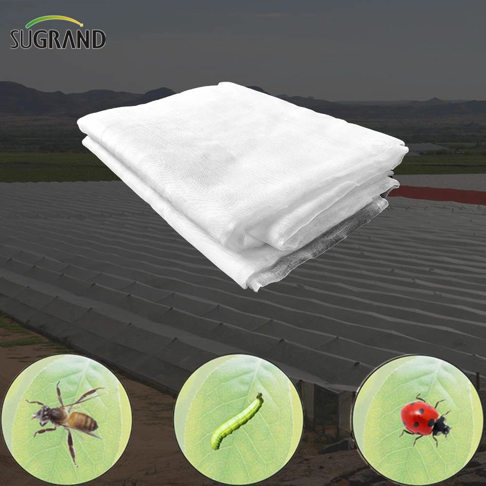 Customized 50X25 Mesh Thrips-Insect Netting Grey in Garden