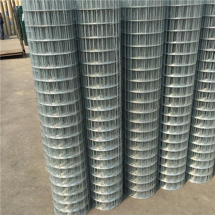 Hot Dipped Galvanized Welded Wire Mesh