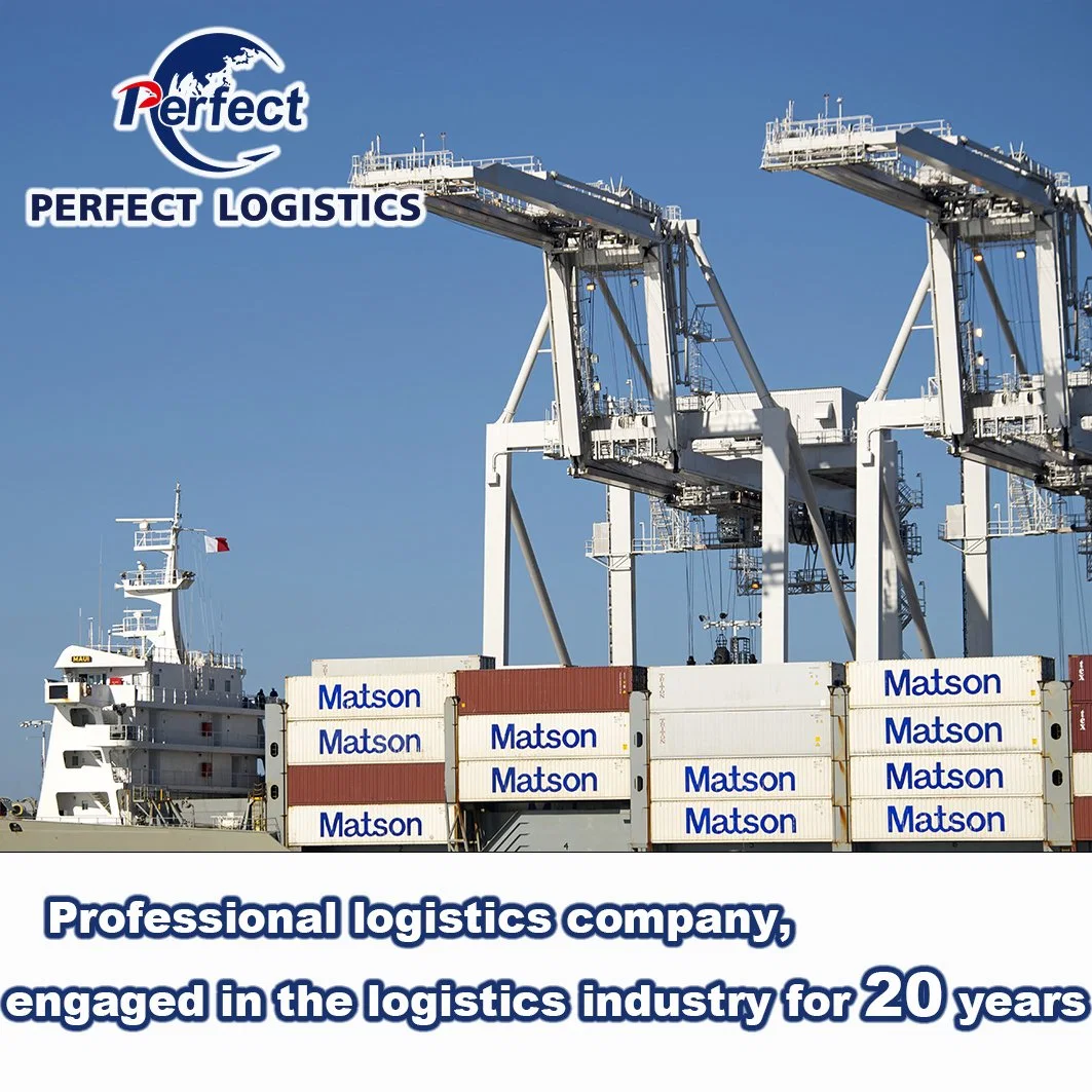 Top 3 Logistics Company DDP Door to Do Sea Shipping From China to USA Professional Sea Freight Forwarder USA Canada Fba 20days