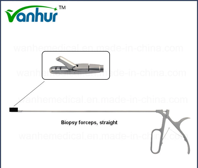 Sigmoidoscopio &amp; Instrumentos Rectoscopy directamente pinzas para biopsia