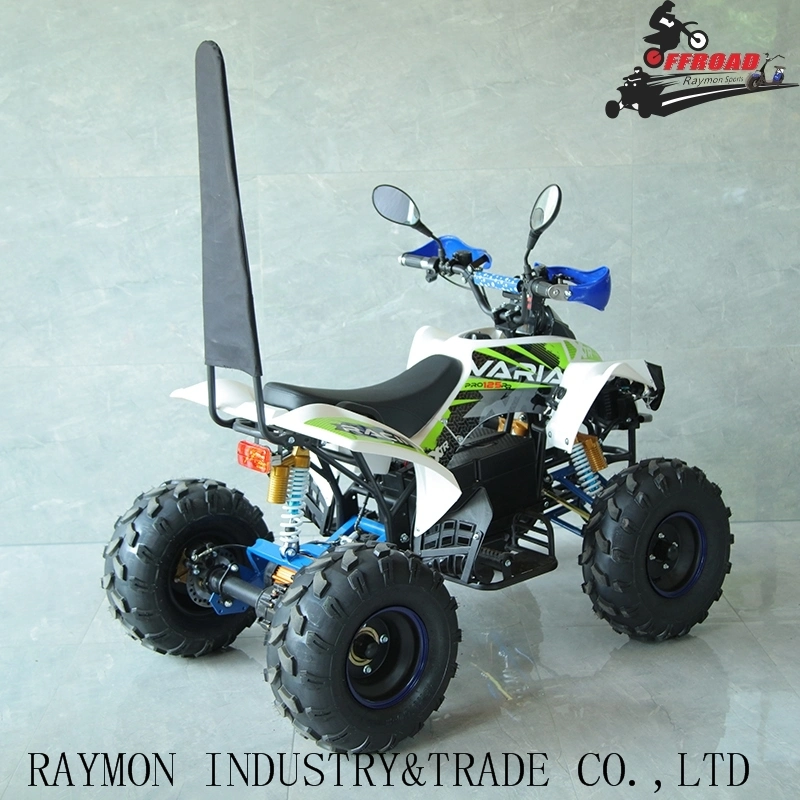 New Electric ATV 4 Quad Wheelers for Adults 1200W 1500W 60V