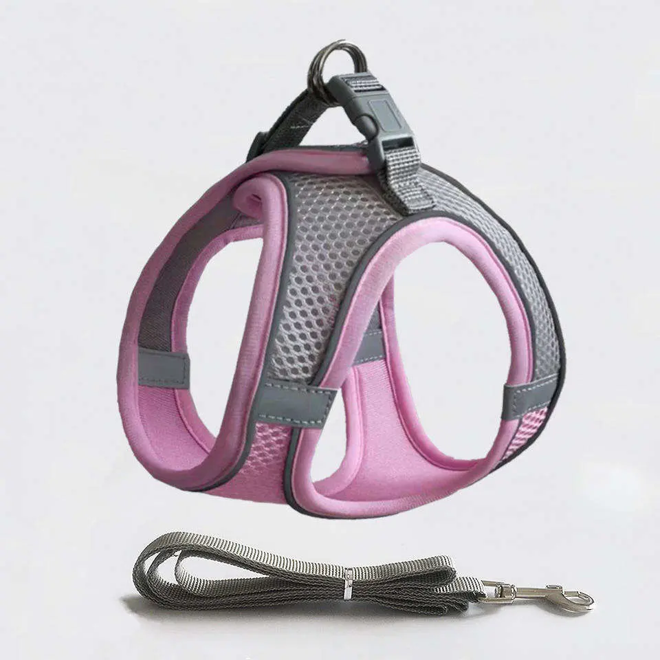 Heißer Verkauf Atmungsaktive Haustier Harness Leash