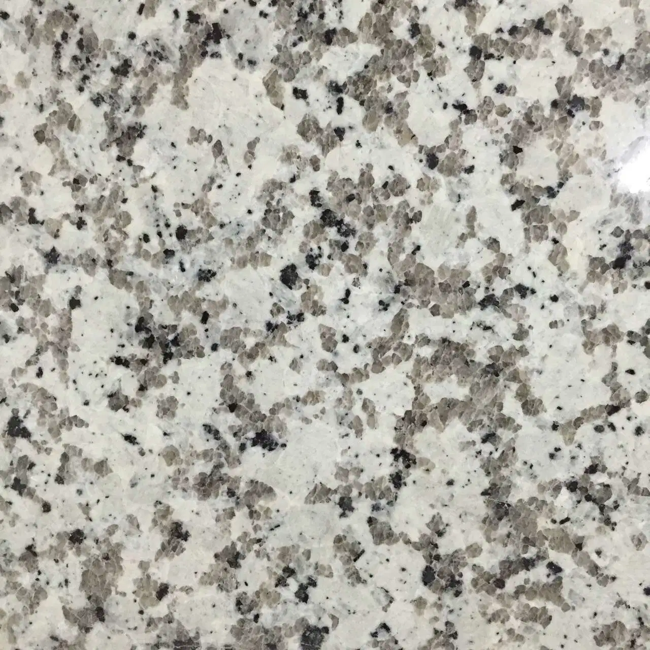 G681/G682/G603/G654/G664 China Cheap Stone Granite Slab with Dry Stone Layout