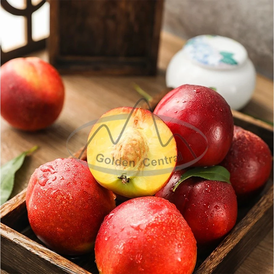 Chinese Manufacturer Prices Fresh Nectarine Peach with A Grade