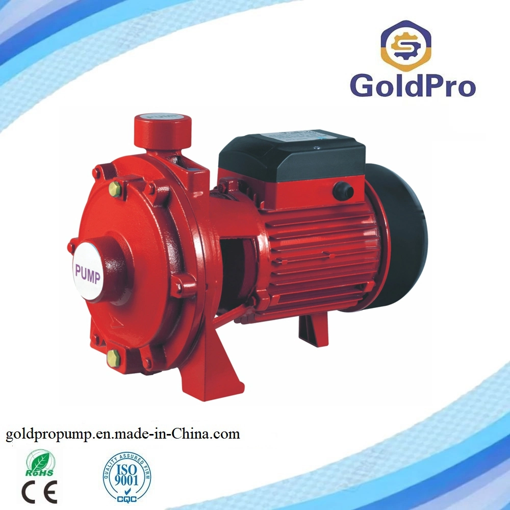 2cp Series Clean Water Double Impeller 1HP 2HP Electric Water Centrifugal Pump
