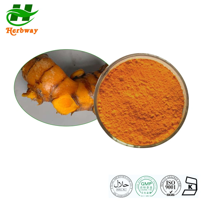 Wholesale/Supplier Price Improving Blood Circulation Curcuma Longa Linn. Turmeric Root Extract Powder