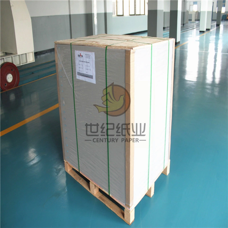 China Top Grade White Coated Cardboard Paper/Fbb/Gc2/Gc1/Sbs