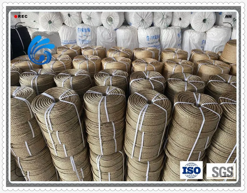 News PP/PE Nylon 3 Strands Twisted Plastic Rope and Twine for Outdoor Sport