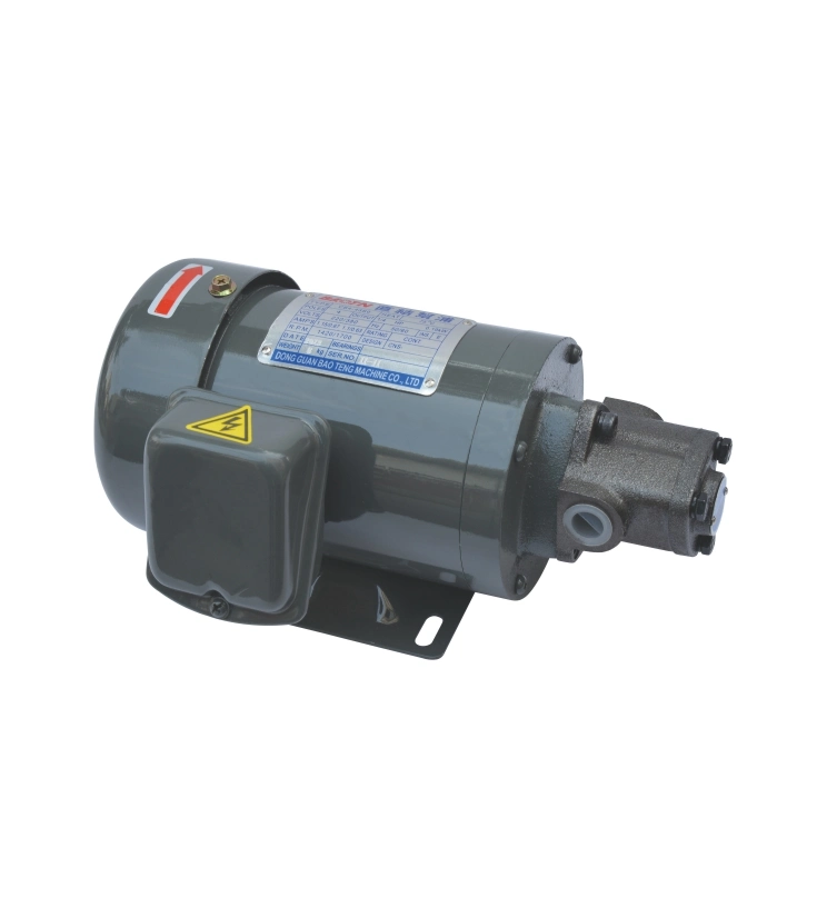 Iron Shell Direct Link Motor Direct Plug Motor Pump Zubehör Für Drehmaschinen-Schmierteile