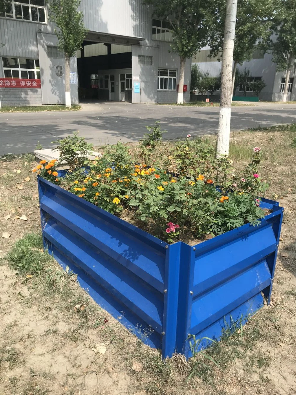 WMPB001 Caja de sembradora de acero Camas de plantación de jardín elevadas de metal fuerte Cama de jardín vegetal