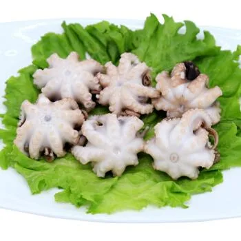 Factory Supply Frozen Octopus Baby Octopus