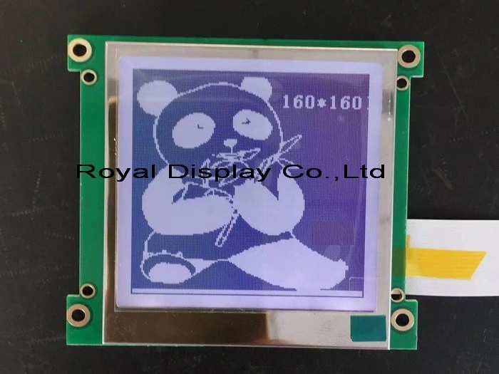 Módulo de ecrã LCD gráfico de 160 x 160 pontos personalizado com retroiluminação LCD