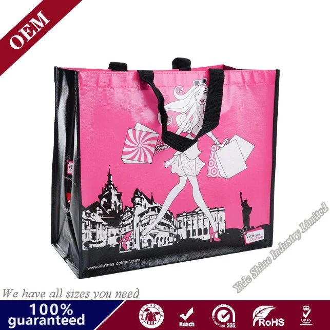 High quality/High cost performance  PP Non Woven Cloth Bag Non Woven Bag Shopping Bag Take out Food Delivery Bag