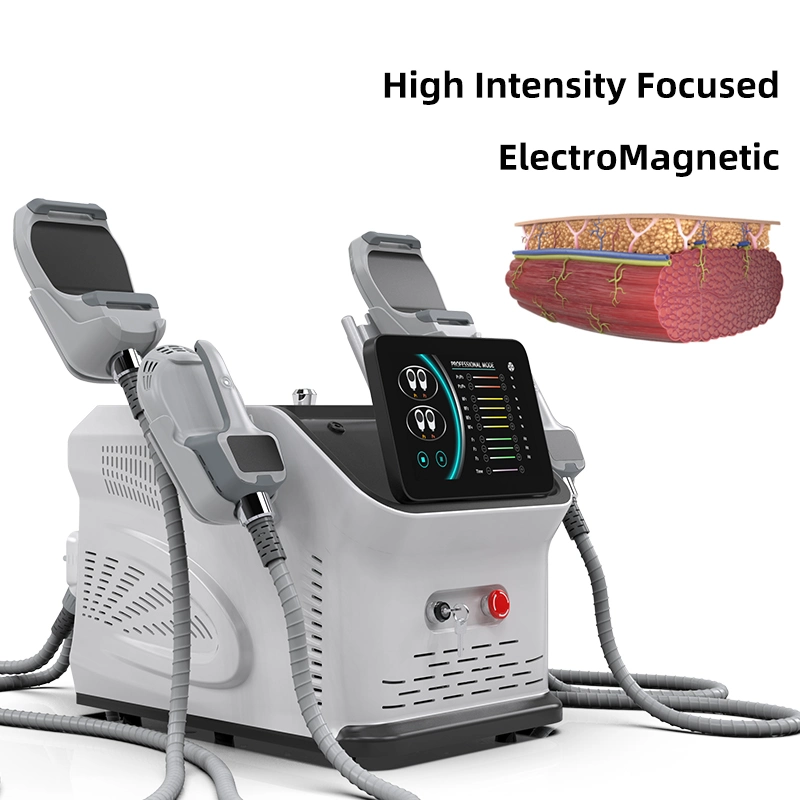 Facial Lift Tecar Therapy Physio Lose Weight 448K Weight Loss Tecar Therapy RF Pain Relief Indeeplus Machine