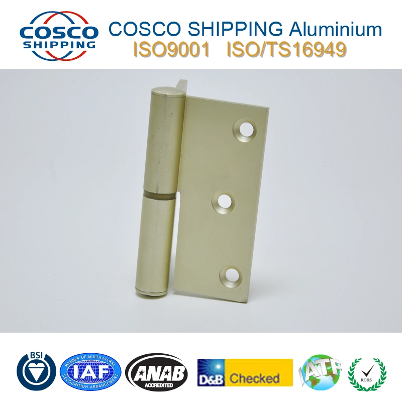 Customized Aluminum Hinge with ISO9001: 2008 Certificated