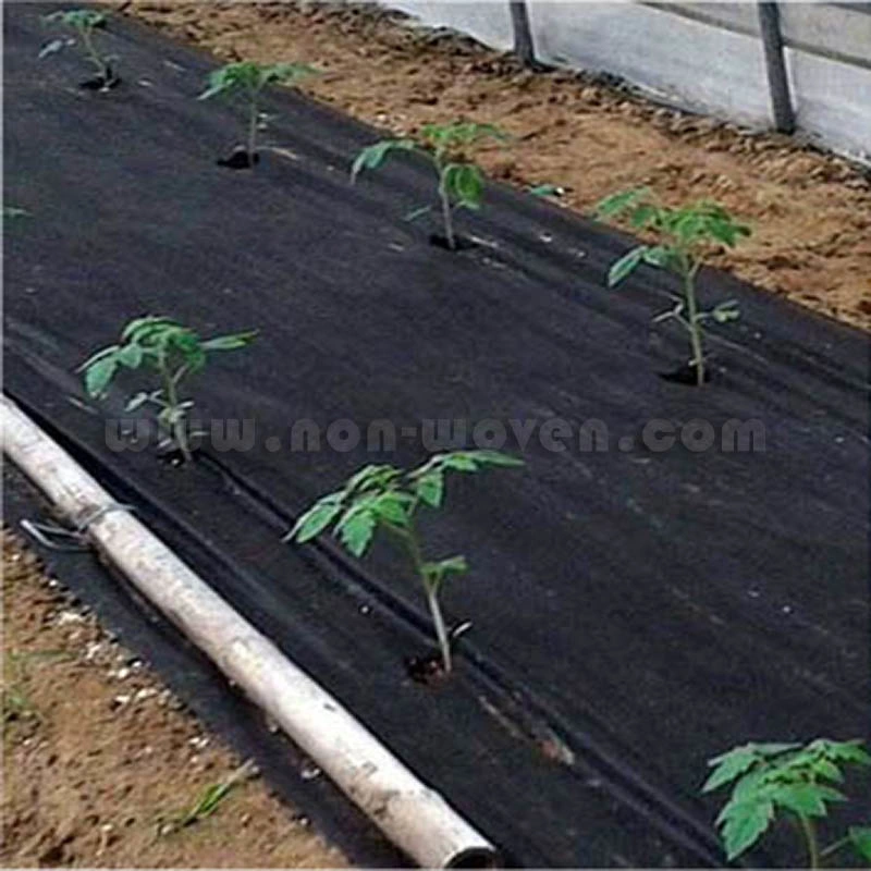 Agricultural Products Nonwoven Ground Cover Textiles Weed Control Landscape Fabric