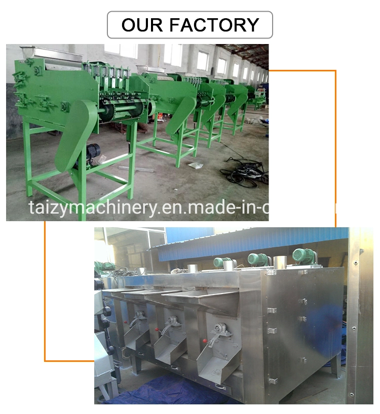 Raw Cashew Nut Processing Machine Cashew Nut Shelling Machine Cashew Manufacturing Machine