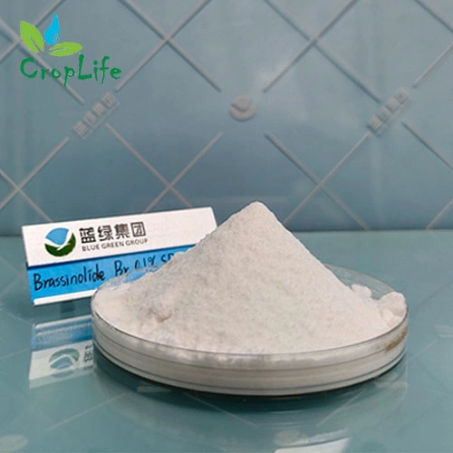 Fertilizer Bnoa 2 Naphthoxyacetic Acid Naa CAS 120-23-0 Quality Pesticide Factory