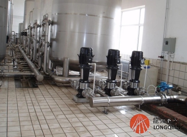 Equipment Wenzhou Longqiang Plant Water Treatment Reverse Osmosis EDI Machine