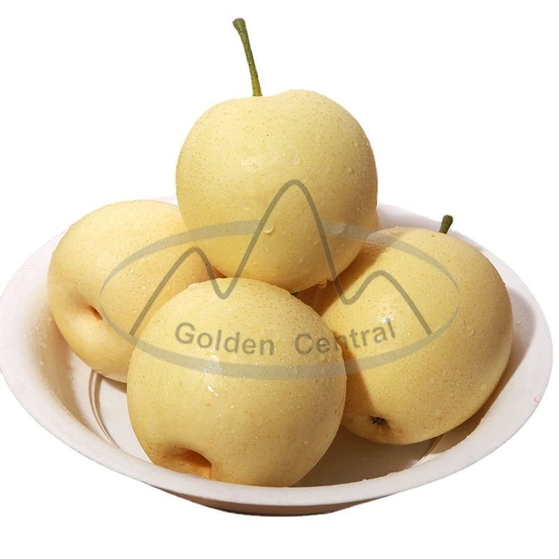 2023 Delicious Crown Pear Nueva Temporada Golden Pear exportación de China