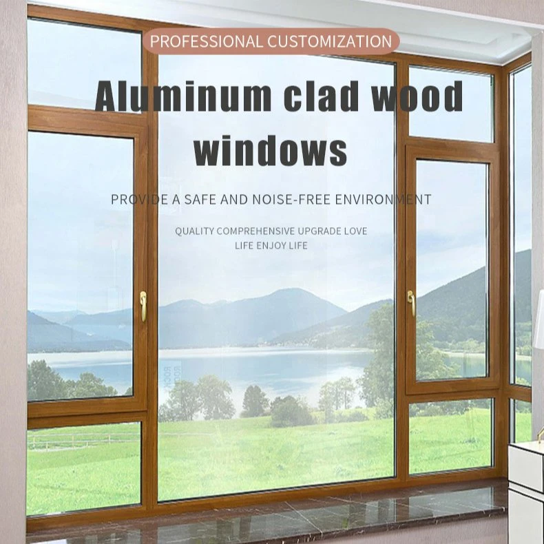 European Quality Seleccionar ventanas de madera Puertas Wood-Basement Windows di ventanas de madera