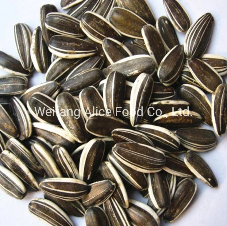 Good Price Exporting New Crop Sunflower Seeds 361/363/601