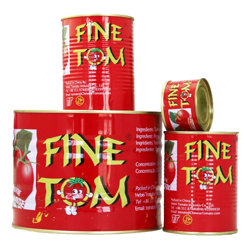 Safa fábrica de conservas de pasta de tomate 70g 210g 400g en 28-30% concentrado